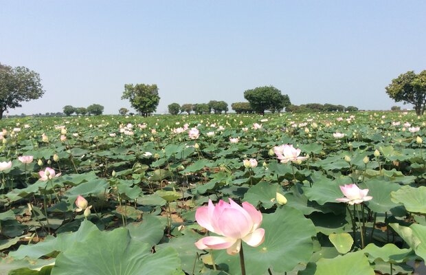 Kompong Kleang-By-air-conditioned-car
