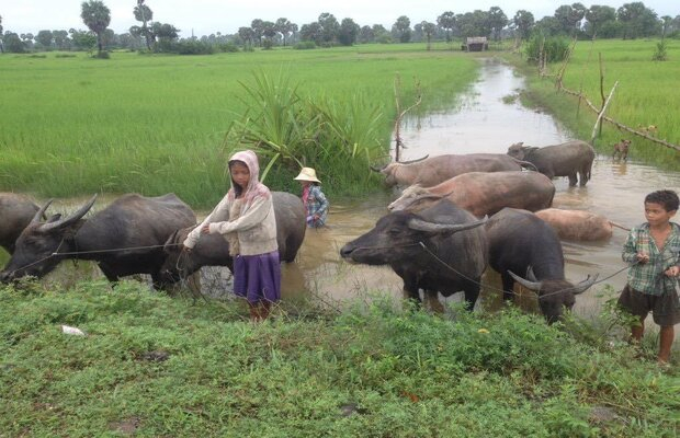 Country-Side-Tour-Angkor-Private-Tuk-Tuk